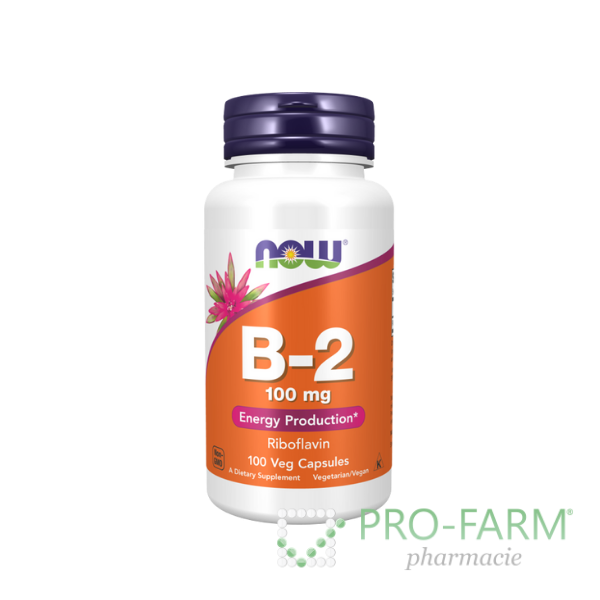 P/P VITAMIN B-2 100MG X100