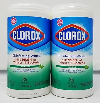 CLOROX WIPES X85 598G