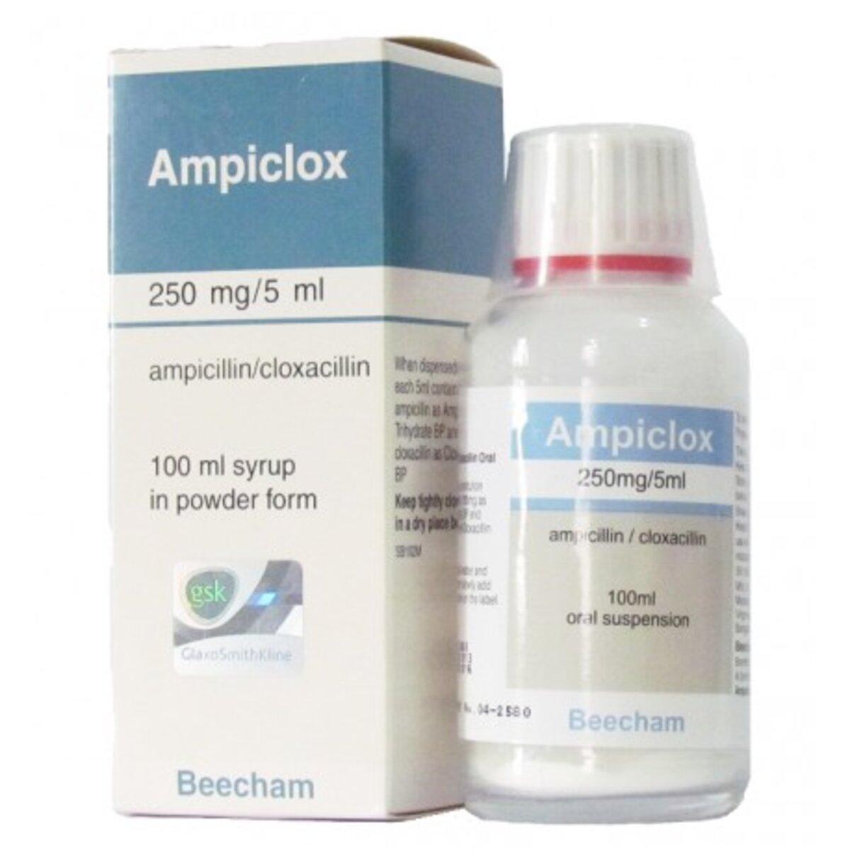 AMPICLOX 250MG /5ML  100ML