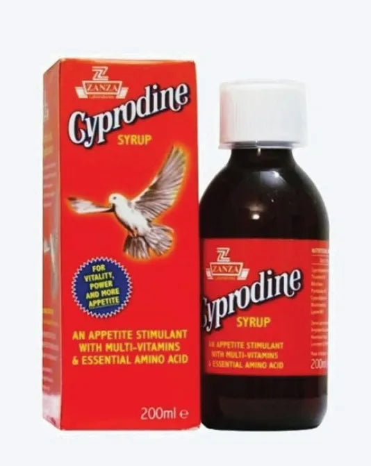 CYPRODEINE SYR 200MLS