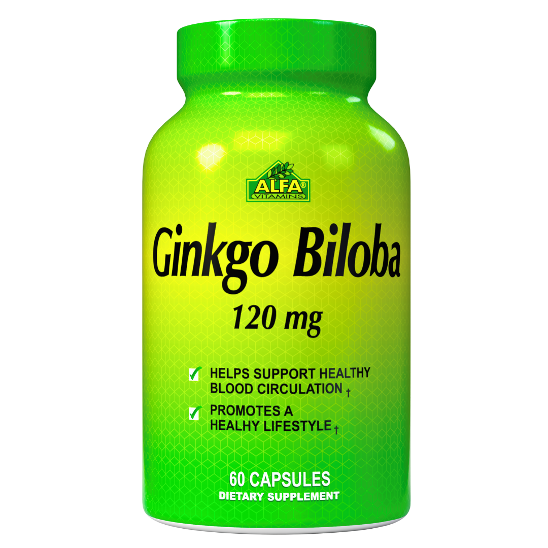 P/P GINKGO BILOBA 120MG X 60