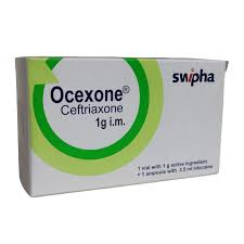 OCEXONE 1G I.M X 1