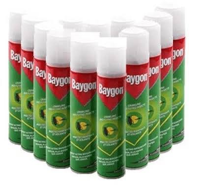 BAYGON INSECTICIDE 300ML