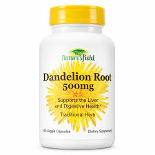 NATURES FIELD DANDELION ROOT 500MG X100