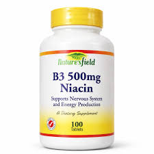 NATURES FIELD B3 500MG NIACIN X100