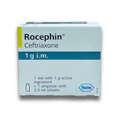 ROCEPHIN INJ 1G I.M