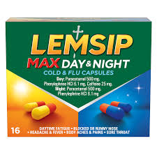 LEMSIP MAX DAY & NIGHT X 16 CAP
