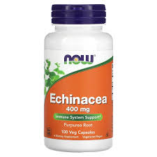 NOW ECHINACEA 400MG X 100